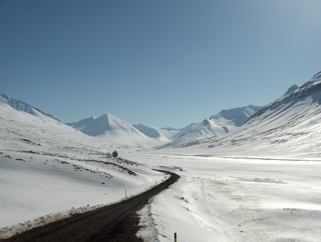 Nýársganga Ferðafélags Svarfdæla - 1 skíðaskór