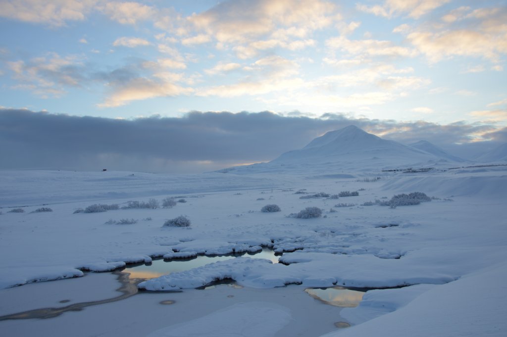 Gönguskíðaferð - Lágheiði