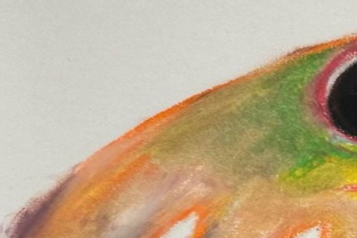 Opnun listasýningar|Gylfi Freeland Sigurðsson