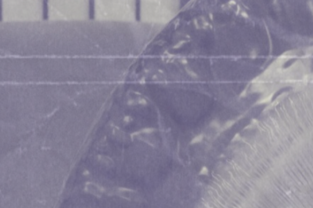 10. og 24. nóvember - GONGSLÖKUN OG HUGLEIÐSLA MEÐ HEIÐRÚNU VILLU