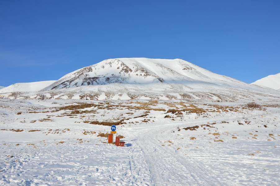 Hundasvæðið norðan við Upsi
