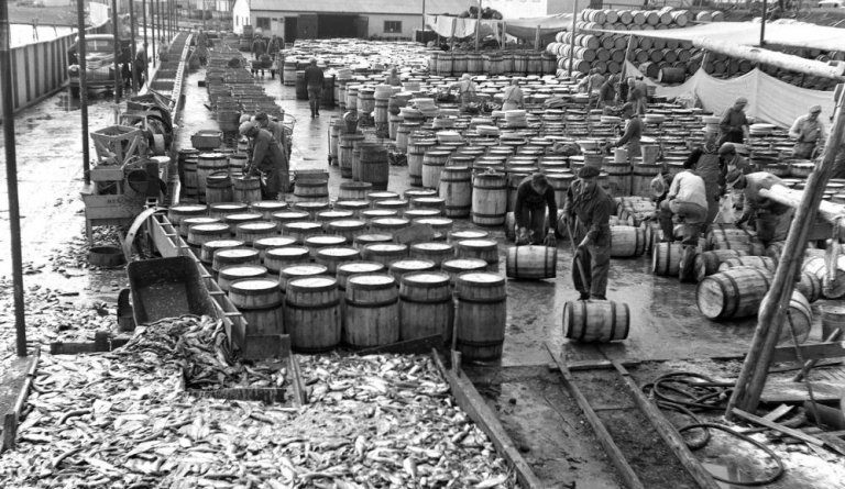 Mynd: Loftur Baldvinsson