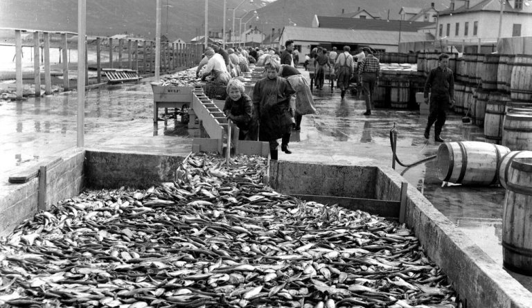 Mynd: Loftur Baldvinsson