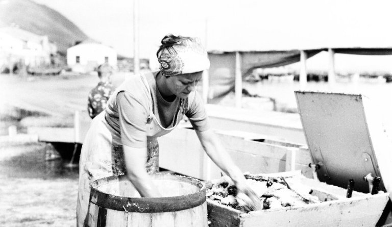 Mynd: Loftur Baldvinsson