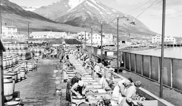 Mynd: Loftur Baldvinsson