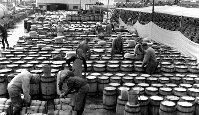 Mynd: Loftur Baldvinsson