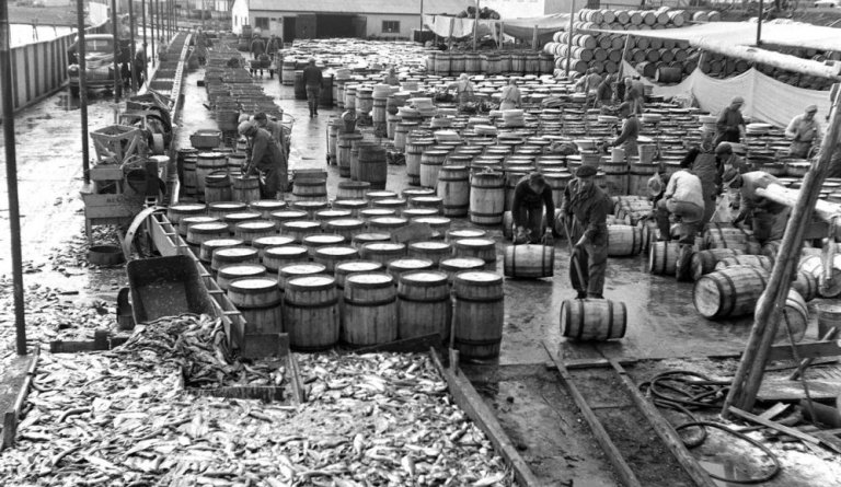 Mynd: Loftur Baldvinsson