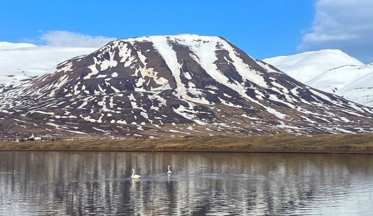 Mynd: Friðjón Árni Sigurvinsson
