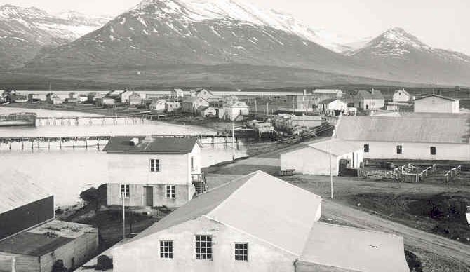 Dalvík. Myndin er tekin 3. júní 1934.  Fremst eru frystihús KEA, beitningaskúrar o.fl. Hvíta húsið fyrir miðri mynd er hús Höepners veslunar (með fallinn reykháf). Til hægri er Rjómabúið og stakkstæði. Stóra húsið er sláturhús KEA.