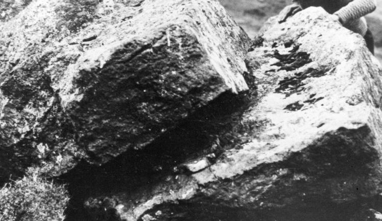 stor-steinn-sem-klofnadi-028