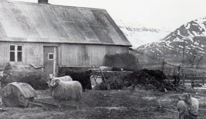 Vegamót var smábýli sem kemur fyrst fram með þessu nafni 1916 og mun vera stofnað það ár. Vegamót eru innarlega á Dalvíkinni og má segja að þau séu á mörkum kauptúnsins og sveitarinnar eins og þau voru lengi. Býlinu fylgir nokkrar grasnytjar. (Kristján E. Hjartarson, Húsaskráning).