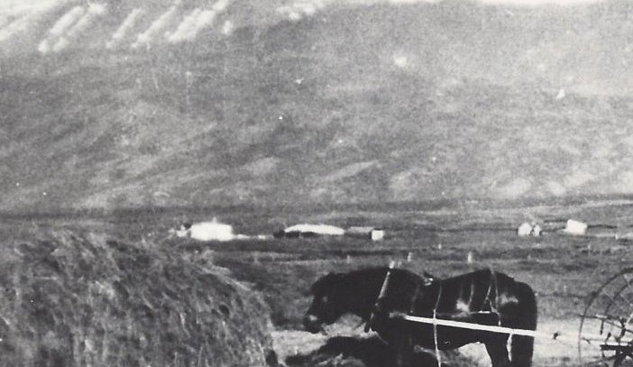 Heyskapur. Í baksýn sést í Tungufell í Svarfaðardal.  Myndin er tekin 1940 - 1950