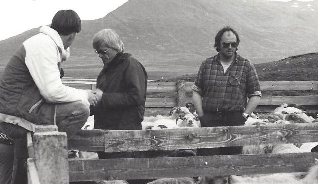 Haustréttir í Dalvíkurrétt 1984. Fyrir miðri mynd, Jón Viðar og Zóphonías Jónmundssynir á Hrafnsstöðum.