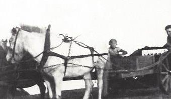 Áburðardreifing á mykjudreifara.