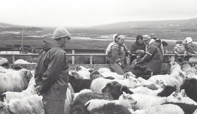 Réttað í Tungurétt 1987.