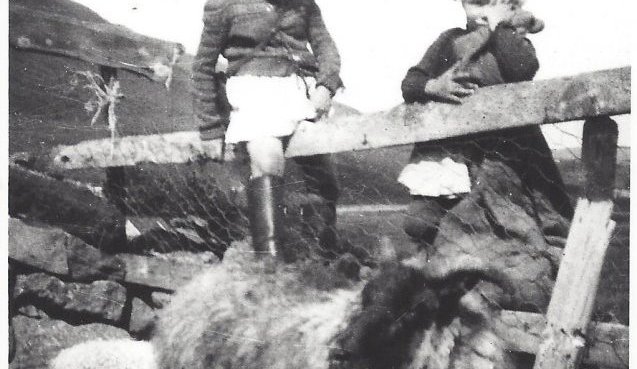 Í Melarétt í Svarfaðardal.