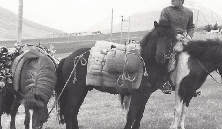 Steinar  Steingrímsson með trússhesta. Myndin er tekin við Sundskála Svarfdæla 17. júní 1979. (sýningaratriði)