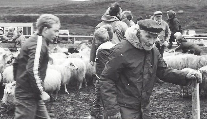 Réttað í Tungurétt haustið 1987. Helgi Símonarson á Þverá 92ja ára fremst.