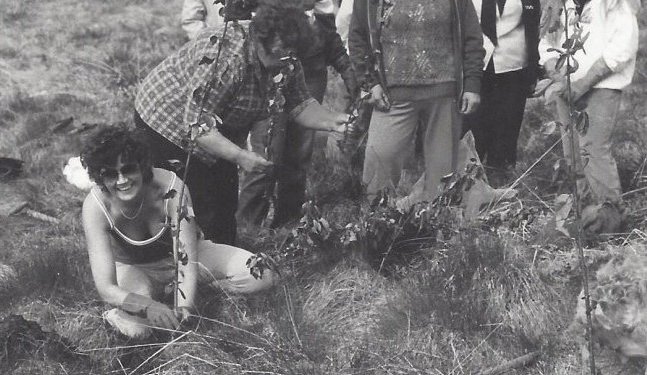 Gróðursetning á trjáplöntum í Hólunum.  Konurnar á myndinni má þekkja frá v. Guðrún Hallgrímsdóttir, Petrína Óskarsdóttir,  Emma Stefánsdóttir,  Lilja Tryggvadóttir (hvíthærð fyrir miðju). Lengst t.h. Og fremst Svanfríður Jónasdóttir