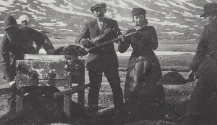 Unnið við taðkvörn á Bakka í Svarfaðardal.  Myndin er tekin 1920.