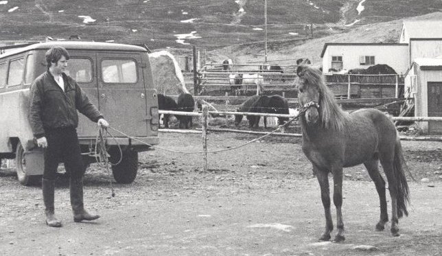 Karl Sævaldsson að temja. Tekið í fjárhúsahverfinu við Stórhól á Dalvík.
