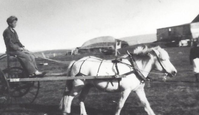 Hestarakstrarvél á Bakka í Svarfaðardal. Myndin er tekin 1940 – 1950.