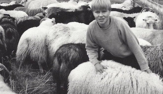 Réttað líklegast í Dalvíkurrétt haustið 1984.