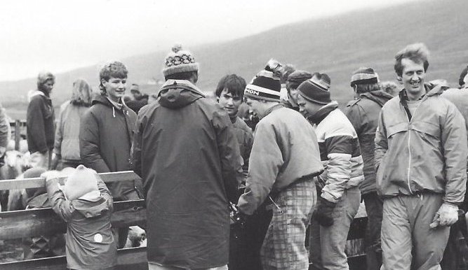 Réttað í Tungurétt haustið 1987. Jóhann Ólafsson bóndi á Ytra-Hvarfi til h. Snýr að myndavél.