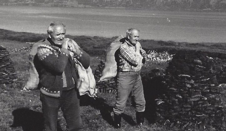 Svarðartekja í Sauðaneskoti.  Hjalti og Skafti Þorsteinssynir frá Dalvík. Myndin er tekin 1980.