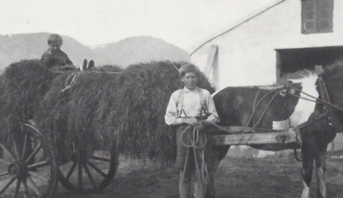 Heyflutningur með vagni. Heyið er bundið í bagga. 4 baggar á vagni. Drengirnir eru Þorgils Gunnlaugsson á Sökku heldur í hestinn. Sá yngri er sonur Snorra Hallgrímssonar.  Myndin er tekin á Sökku í Svarfaðardal 1945-1950.