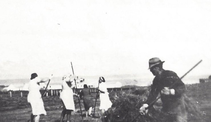 Tekið saman á Fúsatúni á Dalvík. Túnið tilheyrði Bjargi á Dalvík.  Fremstur er Þorleifur Sigurðsson.