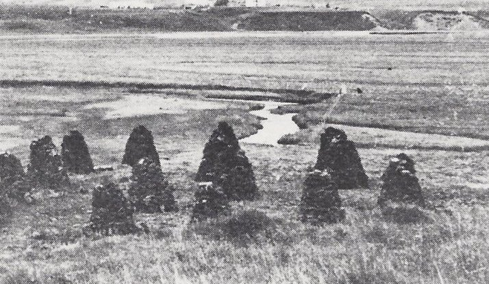 Hraukar við Hofsárkot í Svarfaðardal. Sér í Bakka í baksýn. Myndin er tekin eftir 1960.