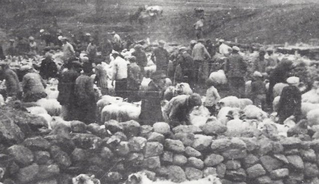 Réttað í Ytra-Holtsrétt í Svarfaðardal. Myndin er tekin 1940 - 1945