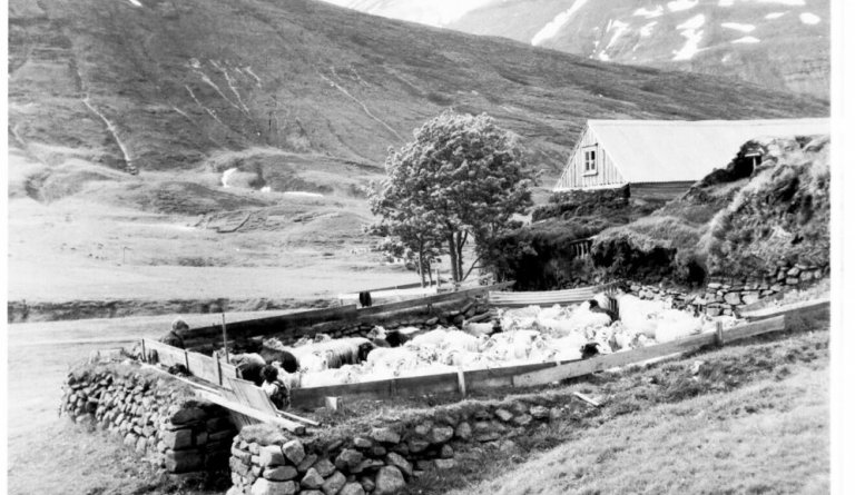 Fjárrétt við Klængshól (?)