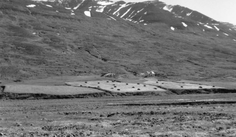 Hnjúkur í Skíðadal