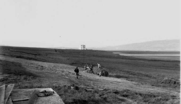 Heyskapur á Jarðbrú. Húsið sem sést í baksýn er Húsabakkaskóli.