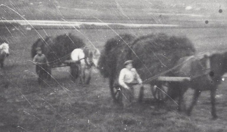Heyflutningar af engjum. Heyið flutt í böggum á vögnum. Þeir sem fara með eru fremstur Jakob Snæbjörnsson, Jóhannes Haraldsson og síðastur Lárus Haraldsson. Myndin er tekin í Ytra-Garðshorni í kringum 1930.