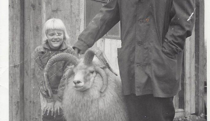 Hjálmar Júlíusson (Bommi) með ferhyrndan hrút. Sólveig dóttir hans með. Myndin er tekin 1957 – 1958 við Baldurshaga á Dalvík.