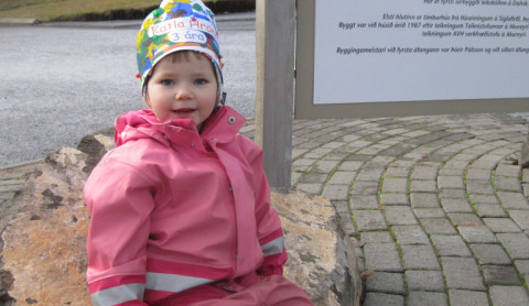 katla-hronn-3-ara-33