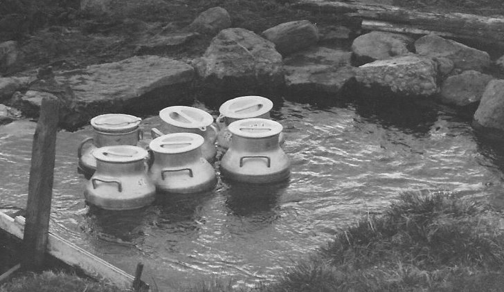 Mjólkurbrúsar á Hnjúki 1975.