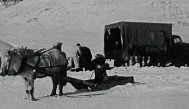 Bændur í Skíðadal koma með mjólk í mjólkurbílinn.