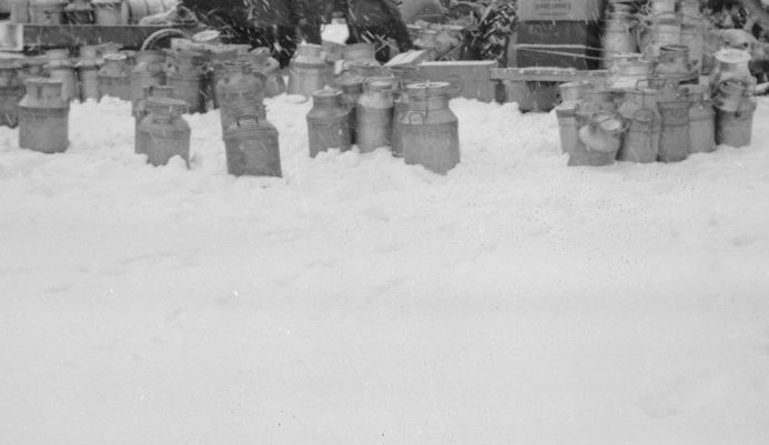 Bændur ferja mjólk á dráttarvélum til Dalvíkur þar sem hún er sett á bíla sem fara til Akureyrar. Myndin er tekin fyrir framan UKE á Dalvík.