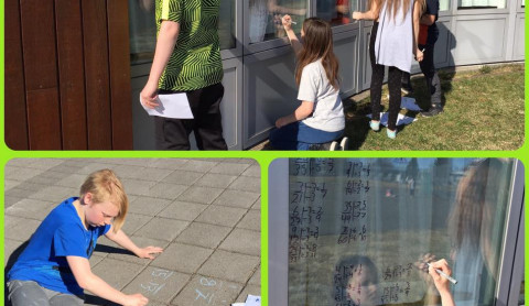 18194945_1265925643524511_1652540972626617562_n