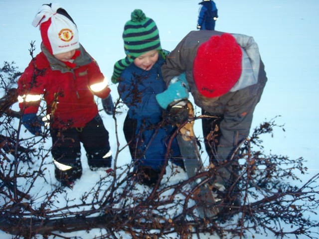 Kötlukot og 6 bekkur.