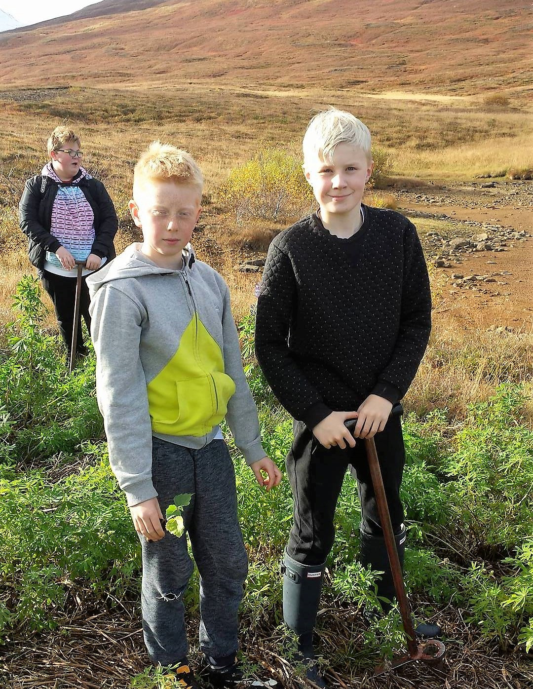 7. bekkur plantar trjám