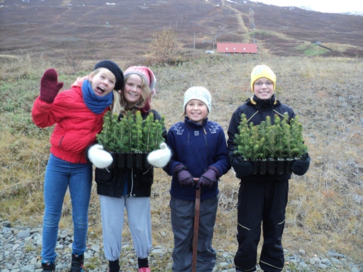 7. bekkur gróðursetur tré