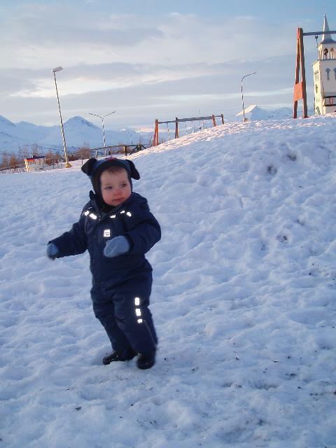 Tilkynning til foreldra