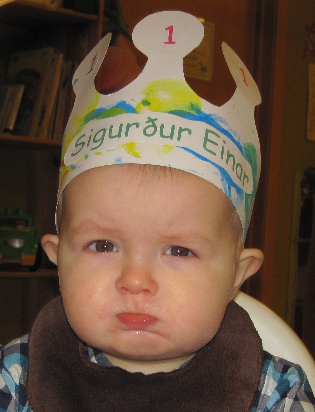 Sigurður Einar 1 árs