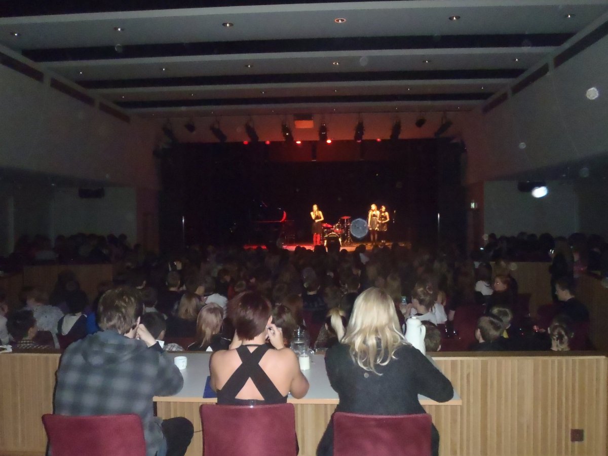 Nemendaráð 2014-2015