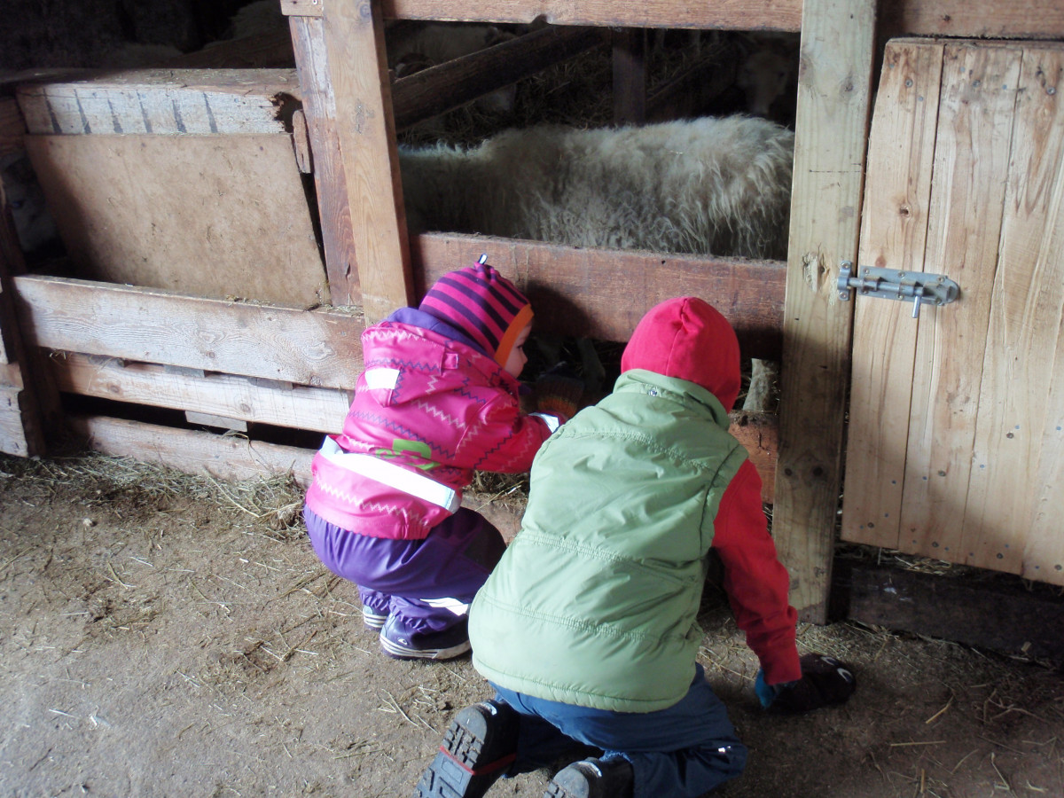 Sveitaferð á Hámundarstaði